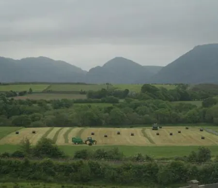River Valley 4* 킬라니